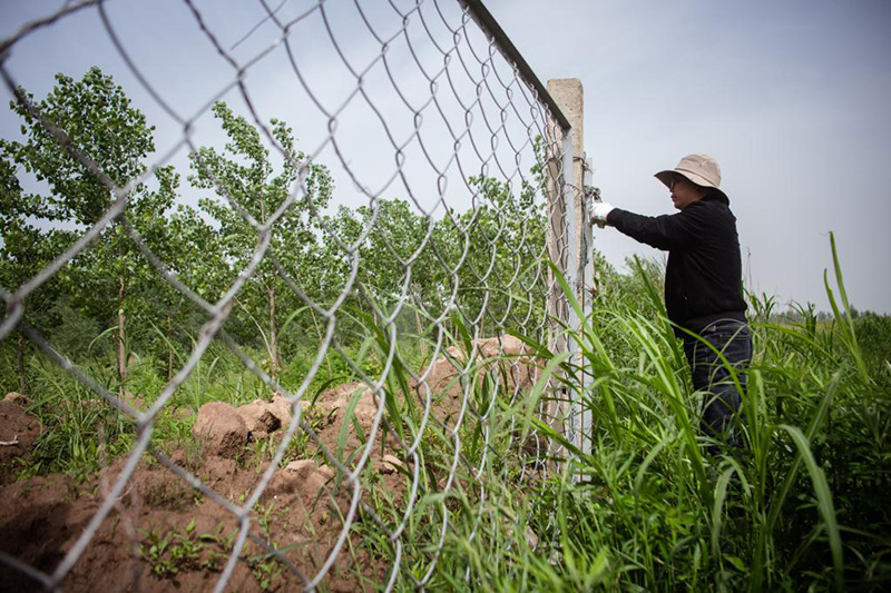 ????? ???? ?? ????? ???? ???? ????????