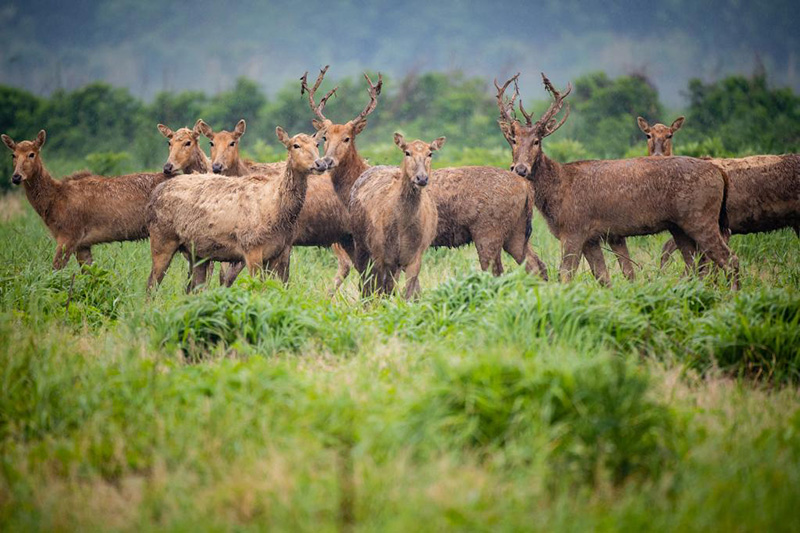 ????? ???? ?? ????? ???? ???? ????????