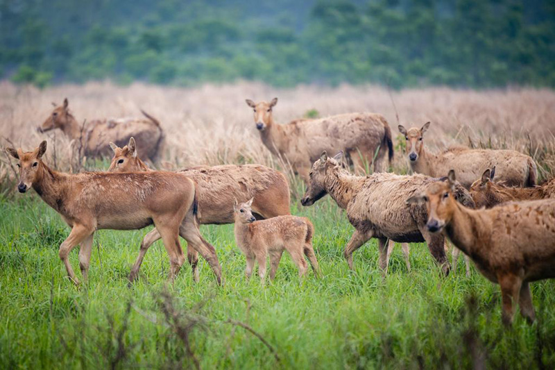 ????? ???? ?? ????? ???? ???? ????????