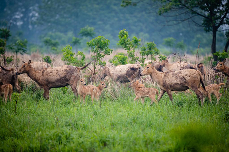 ????? ???? ?? ????? ???? ???? ????????