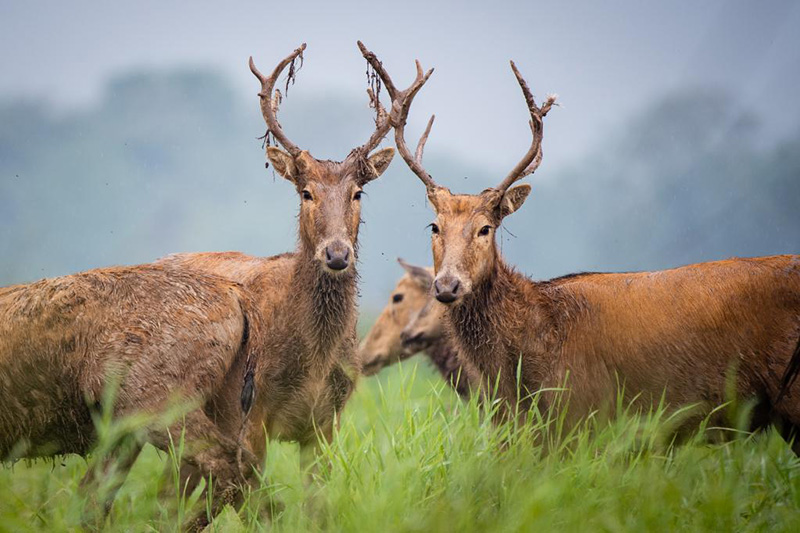 ????? ???? ?? ????? ???? ???? ????????