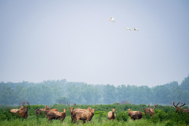 ????? ???? ?? ????? ???? ???? ????????