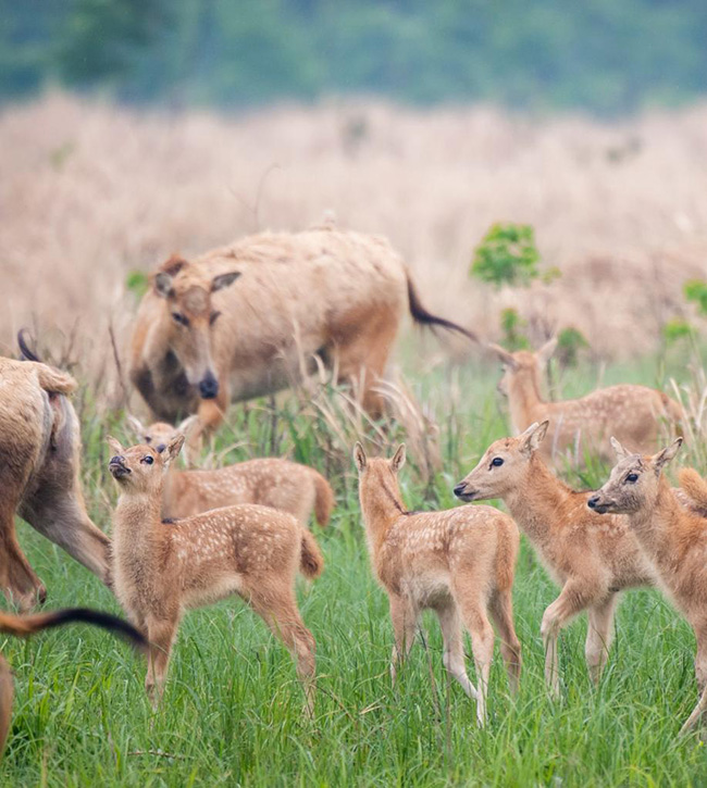 ????? ???? ?? ????? ???? ???? ????????