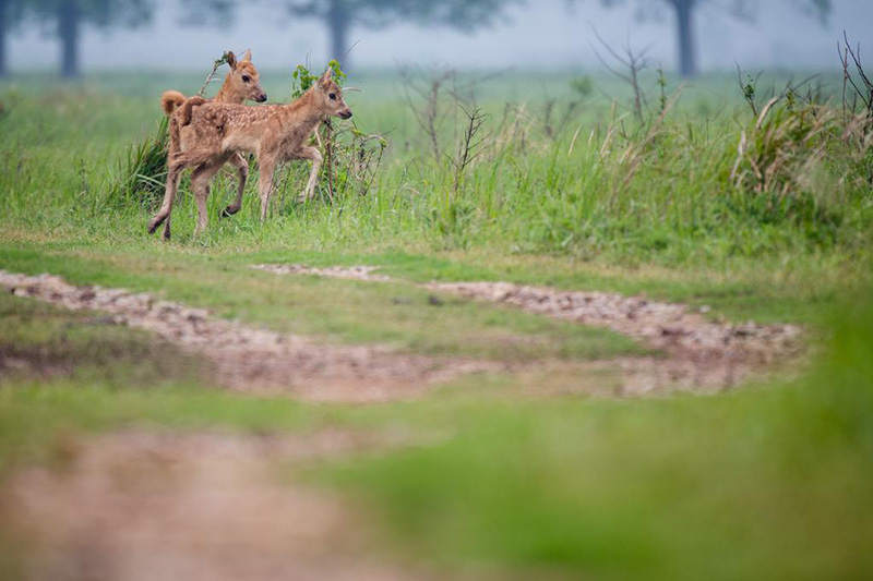 ????? ???? ?? ????? ???? ???? ????????