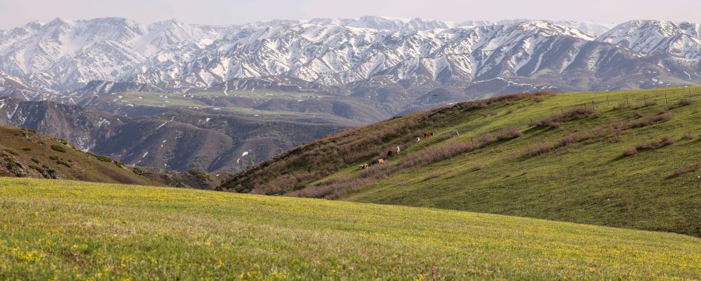 ????? ?????? ?? ????? ???????? ????????? ????? ????? ????? ???? ?????