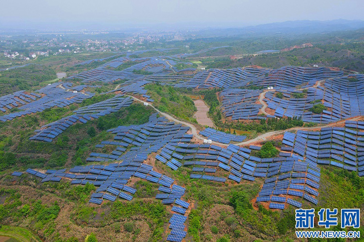 ?????? ??????? ?????? ??? ????????? ?? ????? ?????? 50? ???? ???