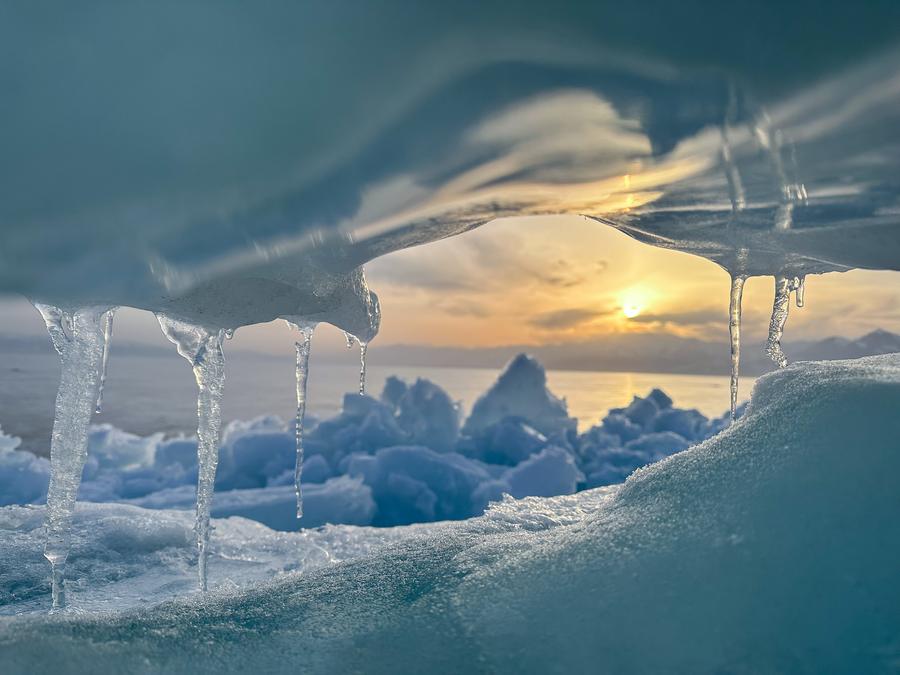 ?????: ?????? ????? ????? ???? ???? ????? ?? ?????? ???????