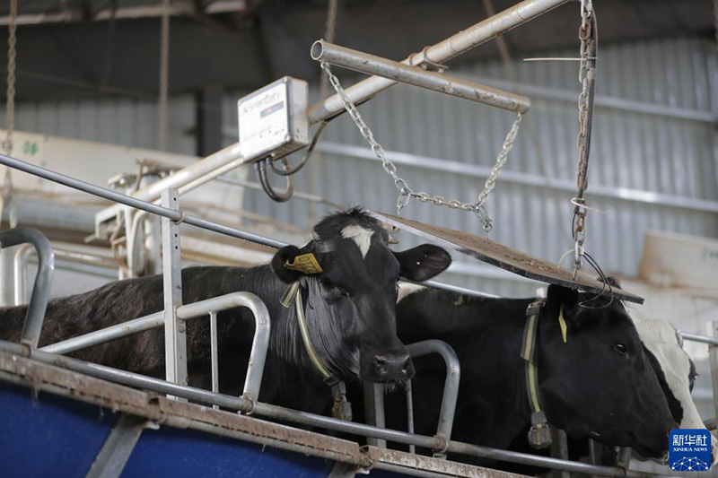 ?????? ????????? ?? ????? ???????