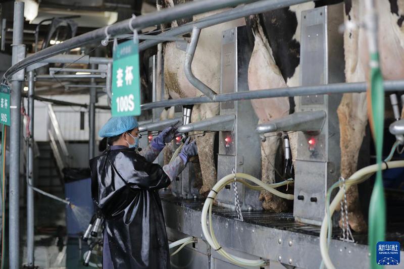 ?????? ????????? ?? ????? ???????