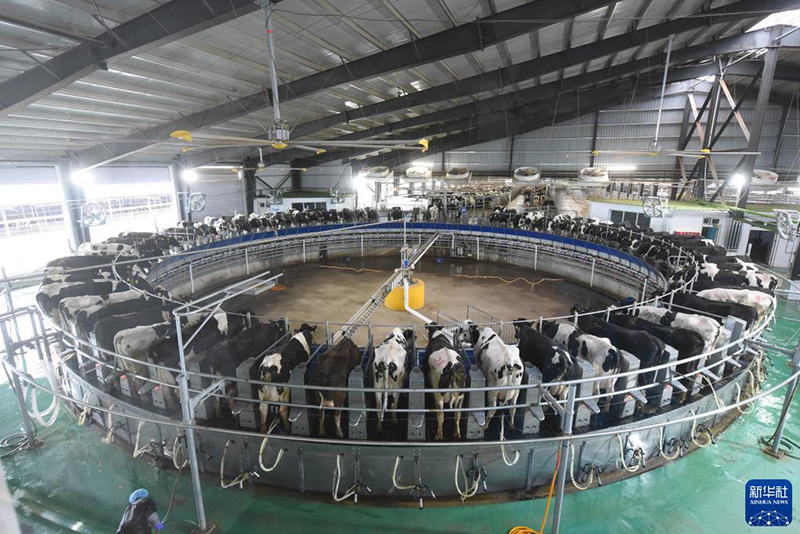 ?????? ????????? ?? ????? ???????