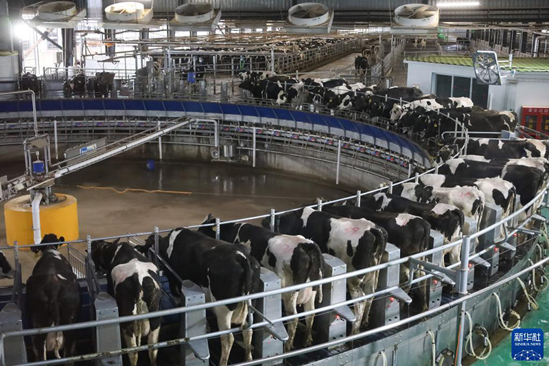 ?????? ????????? ?? ????? ???????