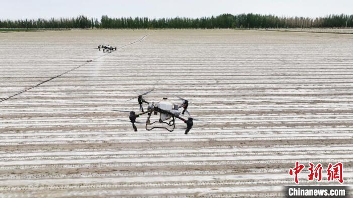 ????? ????????: ????? ???? ????? ??????? ???? ????