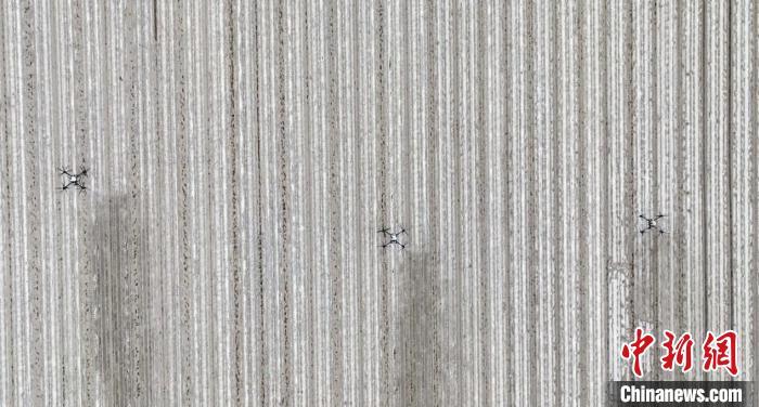 ????? ????????: ????? ???? ????? ??????? ???? ????