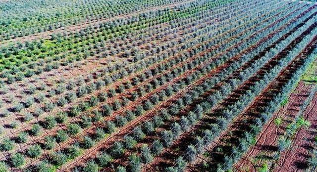 ???? ??? ?????? ????? ???? ???? ??????? ?? ?????