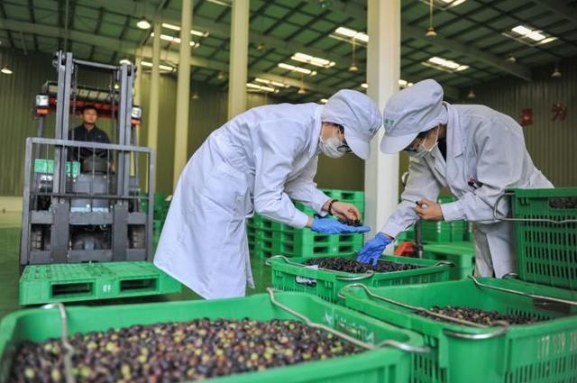 ???? ??? ?????? ????? ???? ???? ??????? ?? ?????