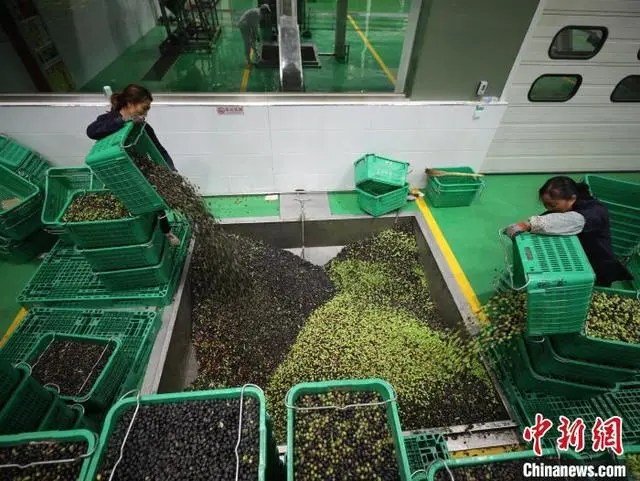 ???? ??? ?????? ????? ???? ???? ??????? ?? ?????