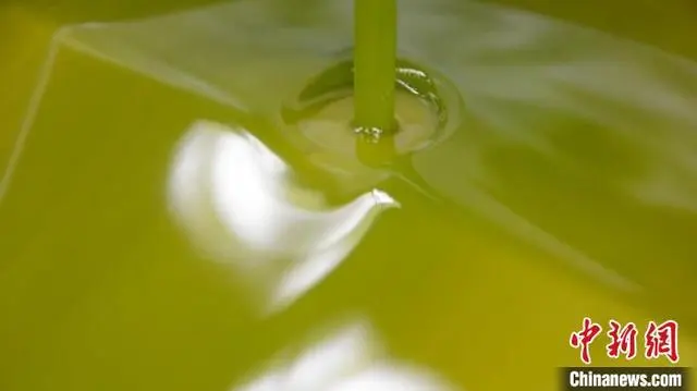 ???? ??? ?????? ????? ???? ???? ??????? ?? ?????