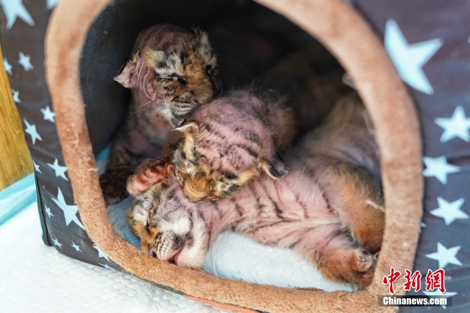 ?????? ????????? ???? ?????? ?????? ?? ???????????