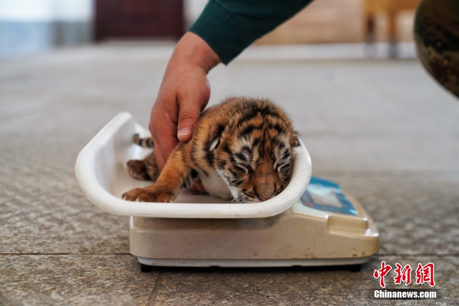 ?????? ????????? ???? ?????? ?????? ?? ???????????