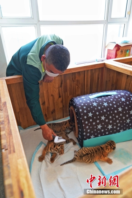 ?????? ????????? ???? ?????? ?????? ?? ???????????