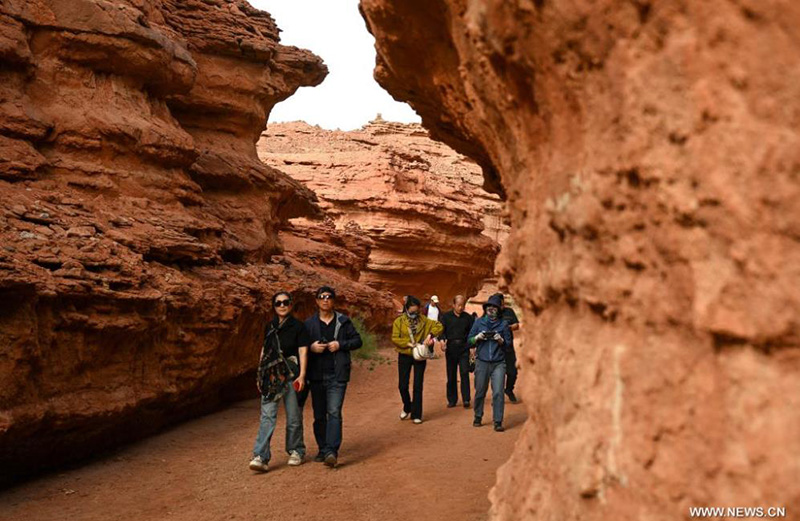 ???? ????? ?????? ?????? ?? ????? ?????