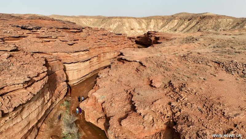 ???? ????? ?????? ?????? ?? ????? ?????