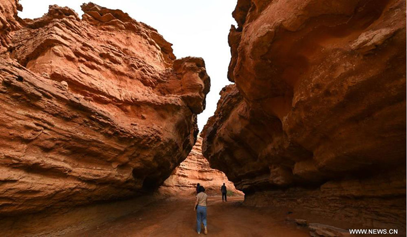 ???? ????? ?????? ?????? ?? ????? ?????