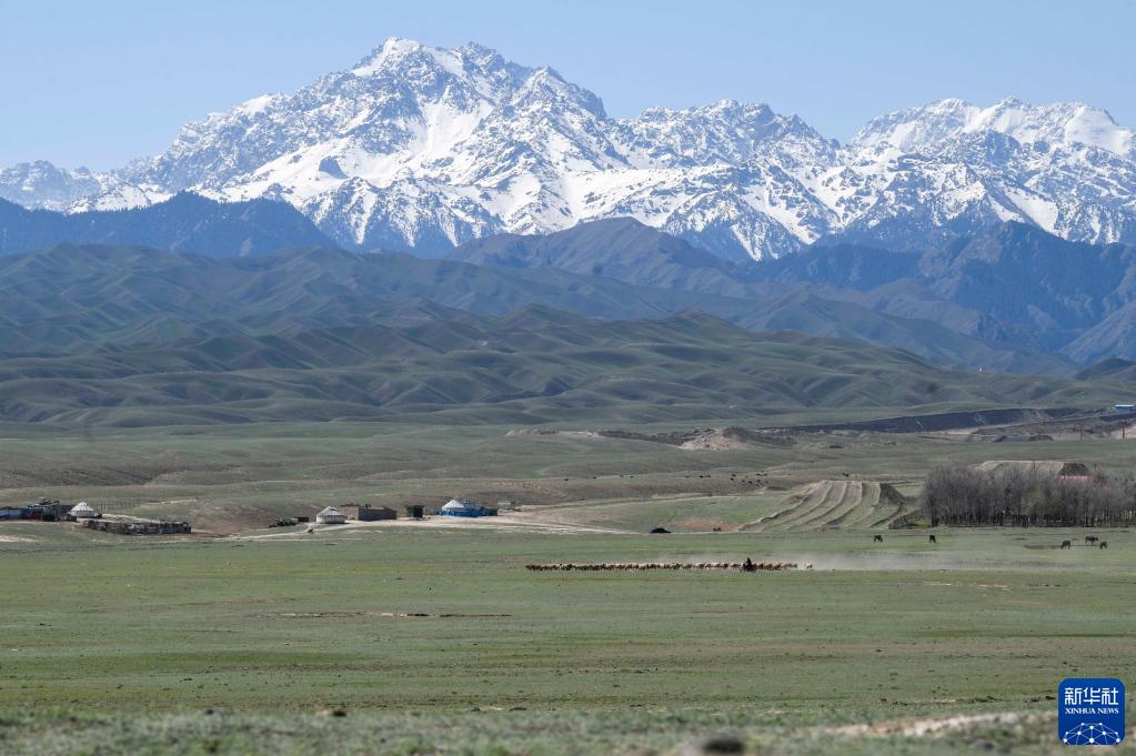 ???? ????? ???? ?????? ????? ??????? ???????? ??????? ?? ????????