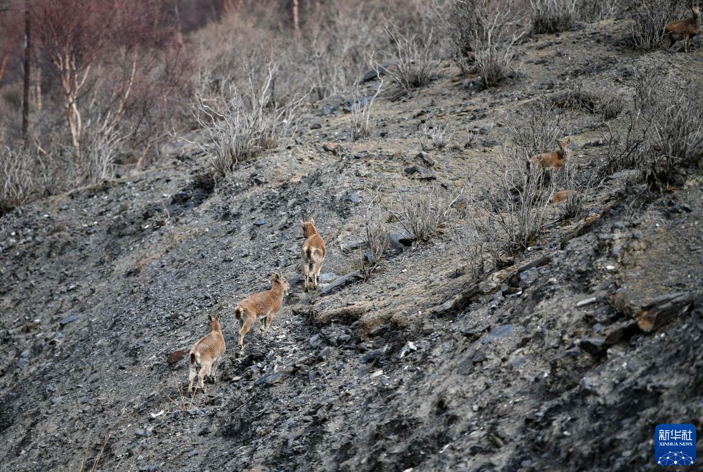 ???? ????? ???? ?????? ????? ??????? ???????? ??????? ?? ????????