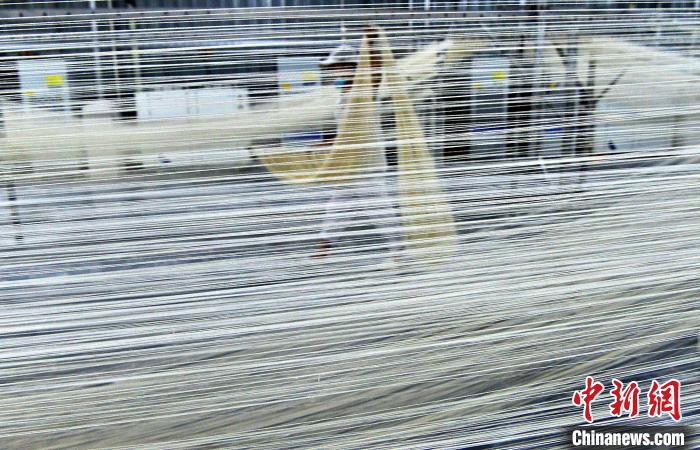 ????? ??????? ???? ????? ????? ???? ???? ?????