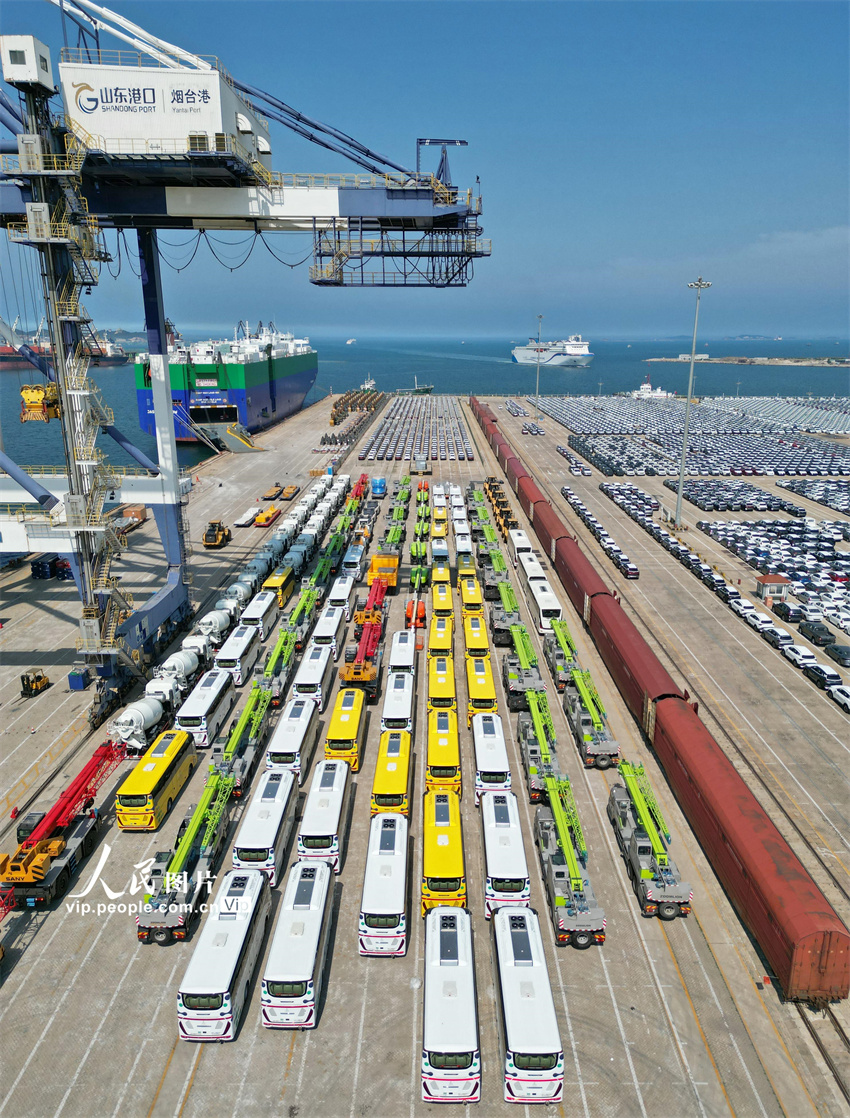 ???? ??? .. ????? ?????? ??????? ????? ???? ???? ?? ????? ???????? ?? ??????