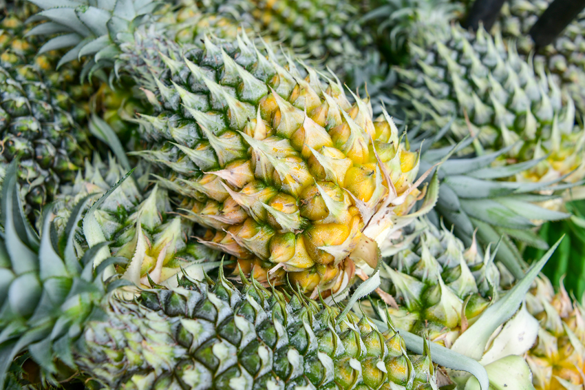 ????????? ???????: ???? ???? ???????? ??????