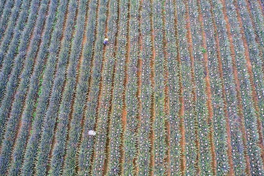 ????????? ???????: ???? ???? ???????? ??????