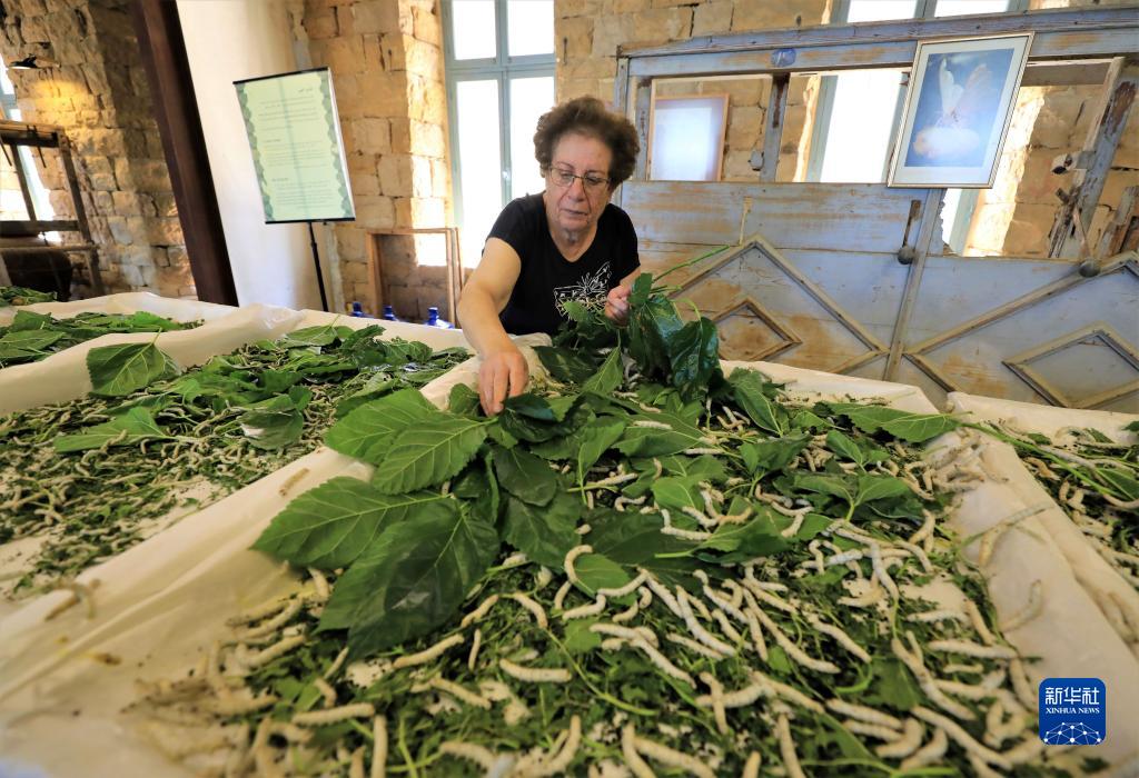 ???? ??? ???? ?????? ?? ?????