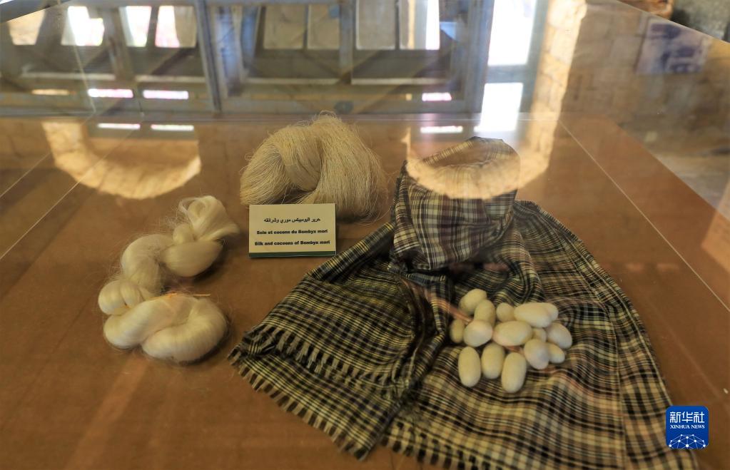 ???? ??? ???? ?????? ?? ?????