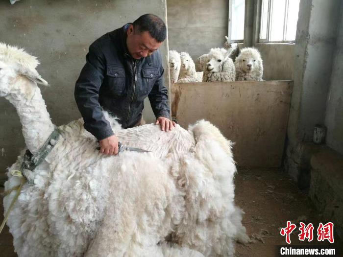 ????? ???? ???? ?? ????? ????? ?????? ????? ??????? ?? ??????? ???????? ???????? ????????