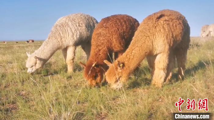 ????? ???? ???? ?? ????? ????? ?????? ????? ??????? ?? ??????? ???????? ???????? ????????