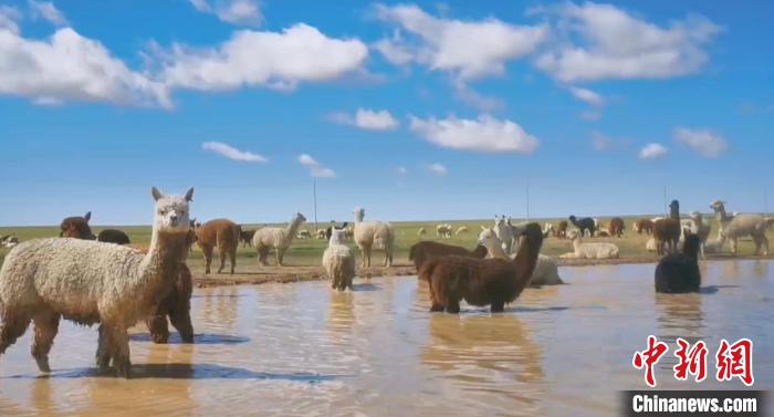 ????? ???? ???? ?? ????? ????? ?????? ????? ??????? ?? ??????? ???????? ???????? ????????