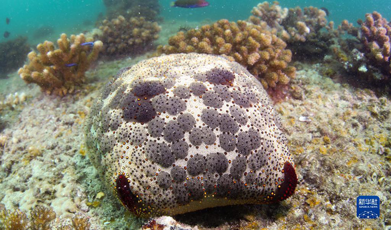 ????? ???? ????? ????? ?????? ?????? ?????????