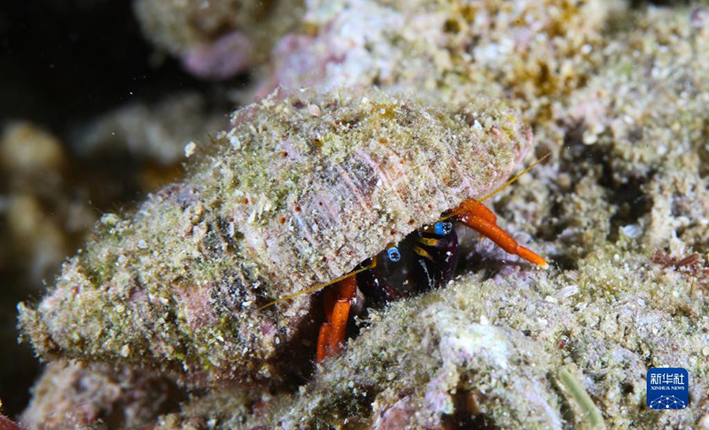 ????? ???? ????? ????? ?????? ?????? ?????????