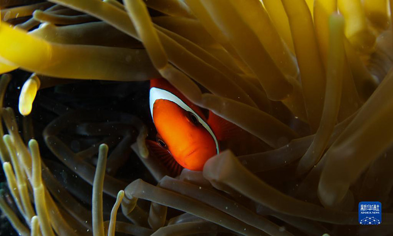 ????? ???? ????? ????? ?????? ?????? ?????????