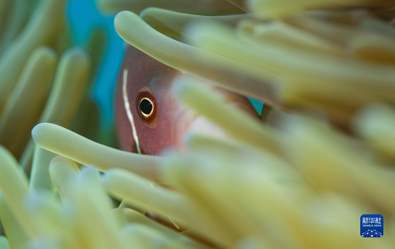 ????? ???? ????? ????? ?????? ?????? ?????????