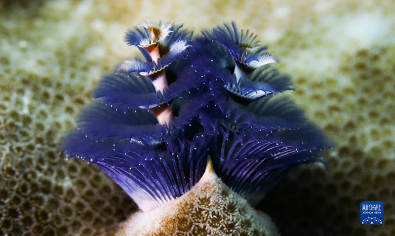 ????? ???? ????? ????? ?????? ?????? ?????????