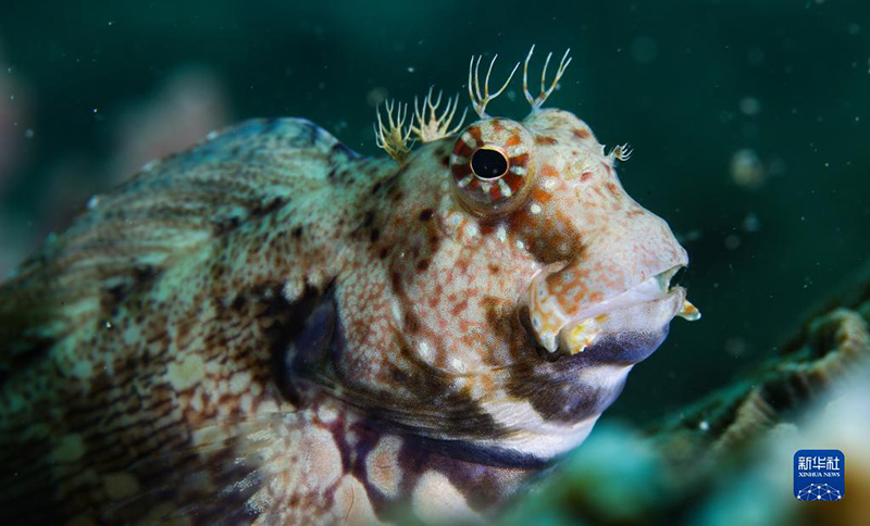 ????? ???? ????? ????? ?????? ?????? ?????????