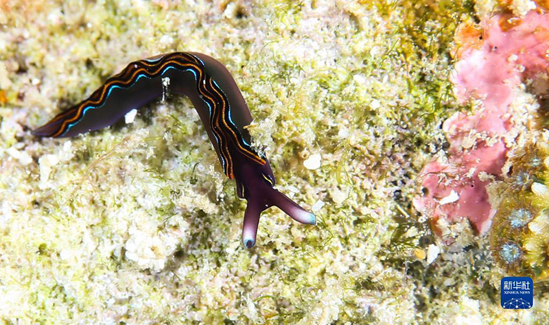 ????? ???? ????? ????? ?????? ?????? ?????????