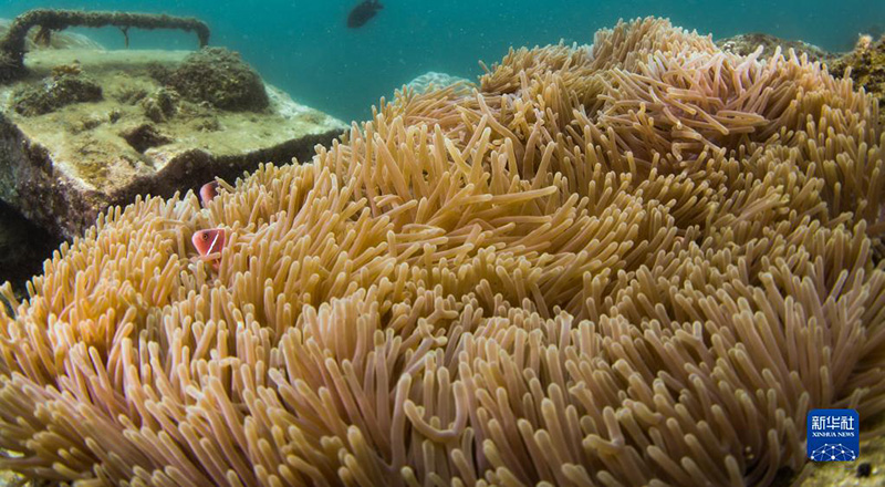 ????? ???? ????? ????? ?????? ?????? ?????????