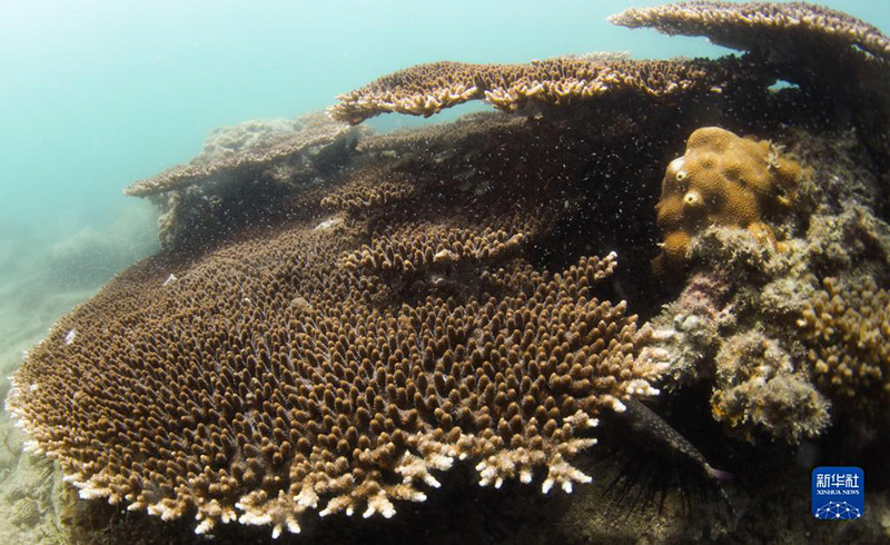 ????? ???? ????? ????? ?????? ?????? ?????????