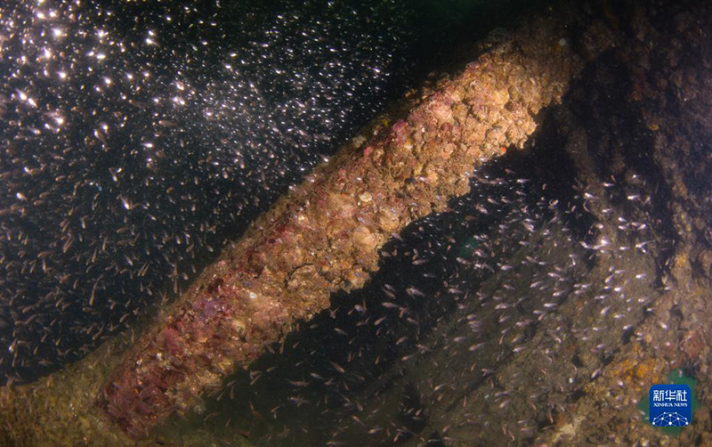 ????? ???? ????? ????? ?????? ?????? ?????????