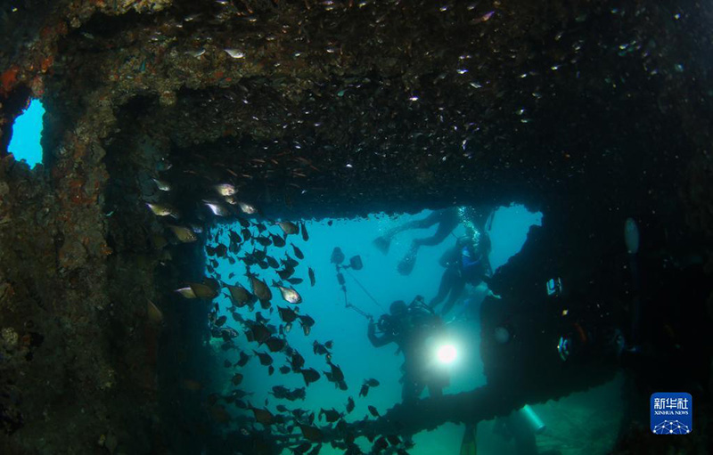 ????? ???? ????? ????? ?????? ?????? ?????????