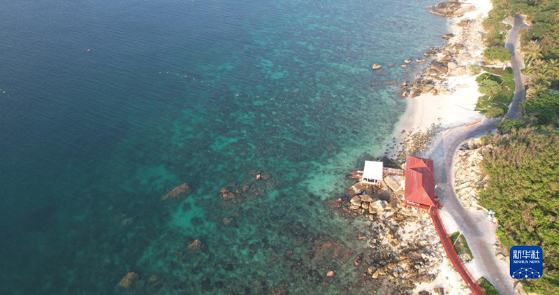 ????? ???? ????? ????? ?????? ?????? ?????????